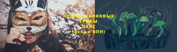 амф Алексеевка