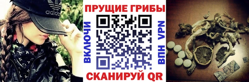 Купить  Судогда  Псилоцибиновые грибы мухоморы 